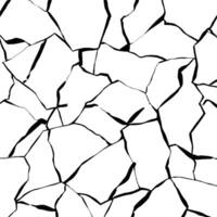 Intricate Cracked Surface Pattern in Black and White vector