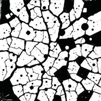 Abstract Black and White Cracked Texture with Geometric Shapes vector