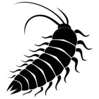 Detailed black and white illustration of a centipede with segmented body and multiple legs, perfect for educational and design purposes. vector