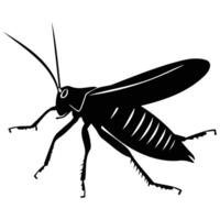 illustration of a cricket in black and white, highlighting its distinctive features and simple design. vector