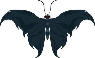 Dark colors gloomy butterfly illustration vector