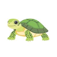 turtle with serious face moving vector
