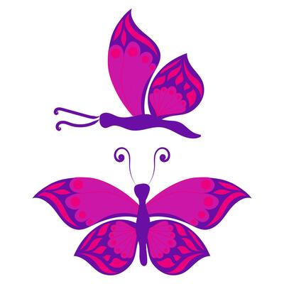 Butterfly with open wings and closed wings. illustration isolated on white background.