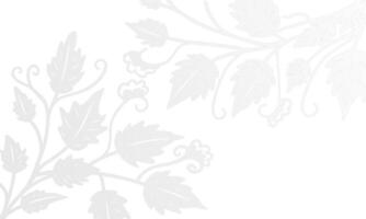 White Background with Subtle Gray and White Botanical Accents vector