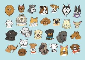 Set of different dog breeds illustration in a flat style. vector