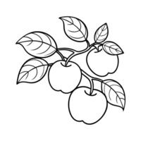 Apple tree branch with apples coloring page vector