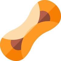 A peanut is shown in an orange and brown color vector