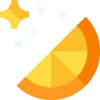 An orange slice with a star on it vector