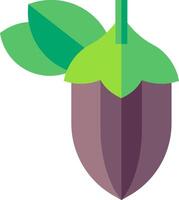 Cocoa pod with leaves and green leaves vector