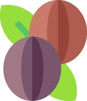 shea butter illustration design vector
