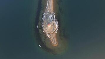 Drone view on Tokarev cat on the background of the sea landscape. video