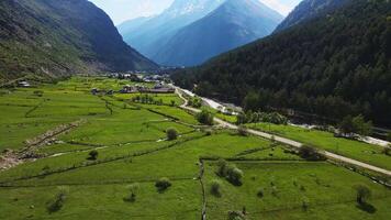 Aerial. green mountain valley covered with coniferous forest video