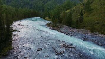 Aerial view of the turquoise river flowing in the coniferous forest video