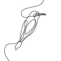 A line drawing of a bird with a long tail vector