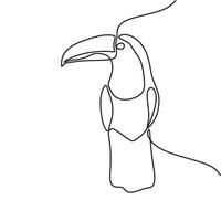 A line drawing of a toucan bird vector