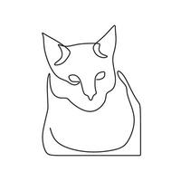 A cat is sitting on a white background vector