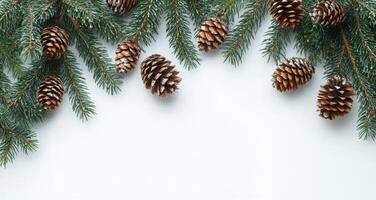 Snow-dusted pine branches and cones arranged artfully on a white background for winter decoration photo