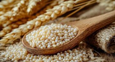 Quinoa grains in a wooden spoon with golden wheat stalks in the background on a rustic table photo
