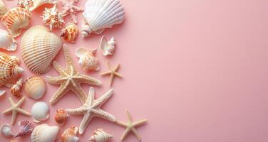 Colorful seashells and starfish arranged artistically on a soft pink background photo