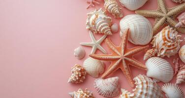Colorful seashells and starfish arranged artistically on a soft pink background photo