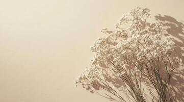 Delicate white flowers arranged on a soft pastel background in a serene indoor setting photo