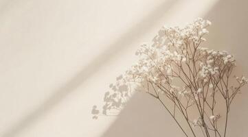 Delicate white flowers arranged on a soft pastel background in a serene indoor setting photo