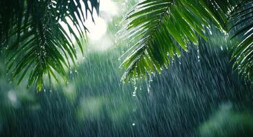 Rain cascading through lush green palm leaves in a tropical rainforest during daytime photo