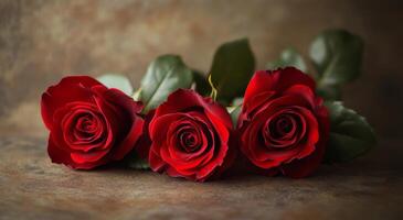 Fresh red roses arranged elegantly on a textured surface for a romantic setting or gift photo