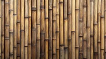 Bamboo wall in natural hues showcasing the texture and patterns in a serene environment photo