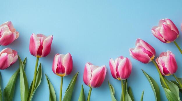 brillante rosado tulipanes arreglado artísticamente en un suave azul antecedentes en natural ligero foto