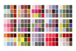 Petal color palette. Trend color palette guide template. Fit for fashion designers, business, and paints colors company. Match combinations. Eps 10. vector