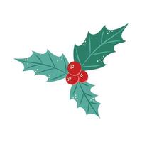 Holly illustration on a white background. Isolated element for design of cards, patterns, banners. Christmas and New Year. illustration. vector