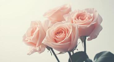 Delicate pink roses arranged elegantly with green leaves in soft natural light photo