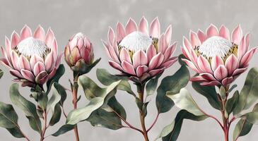 Beautiful arrangement of protea flowers in soft pastel tones on a textured background photo