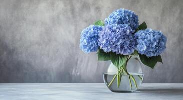 Blue hydrangeas in a clear vase displayed on a marble table against a textured gray background photo