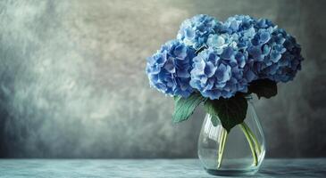 Fresh blue hydrangeas in a clear glass vase placed on a textured gray background indoors photo