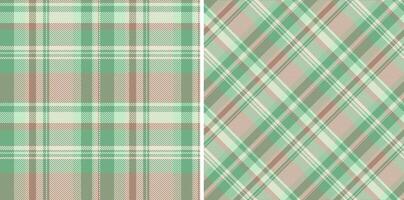 Fabric pattern plaid of textile tartan check with a texture background seamless. Set in nature colors. Modern carpet trends. vector