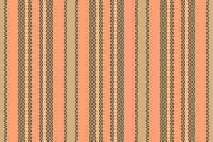 Lines seamless stripe of fabric vertical with a texture background textile pattern. vector