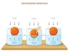Understanding Archimedes' Principle The Science of Buoyancy and Fluid Displacement vector