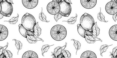 Lemon Branches with fruits leaves, lemon's slices. Hand drawn seamless pattern. Print of Tropical citrus fruit. Background for menu, package, cosmetic, textile, cards vector