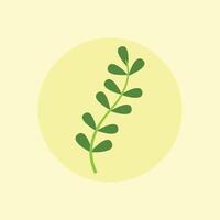 A green plant with leaves on a yellow background vector