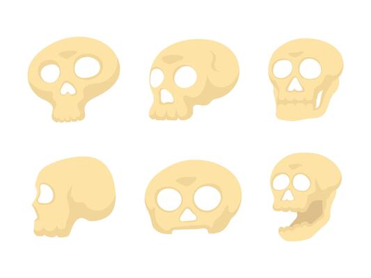 collection of skulls with various shapes