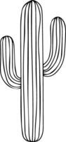 A cactus is drawn in black and white vector