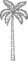 Palm tree coloring pages vector