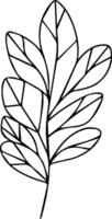 A leaf outline on a white background vector