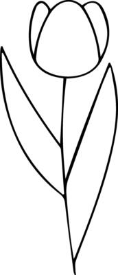A flower outline drawing