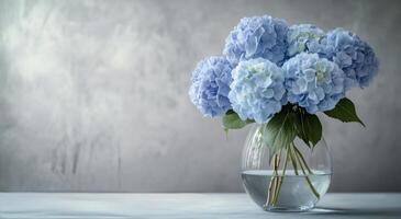 Blue hydrangeas in a clear vase displayed on a marble table against a textured gray background photo