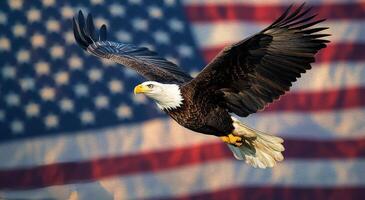 Bald eagle soaring majestically over a blurred American flag backdrop at sunset photo
