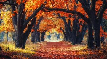 A tranquil autumn path lined with vibrant orange trees in a serene forest setting photo