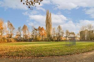 A park with a bench and a tree photo
